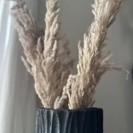 Heide Am Waldrand * Buchholz in der Nordheide