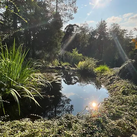 Heide Am Waldrand * Buchholz in der Nordheide
