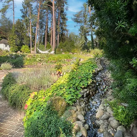 Heide Am Waldrand Buchholz in der Nordheide